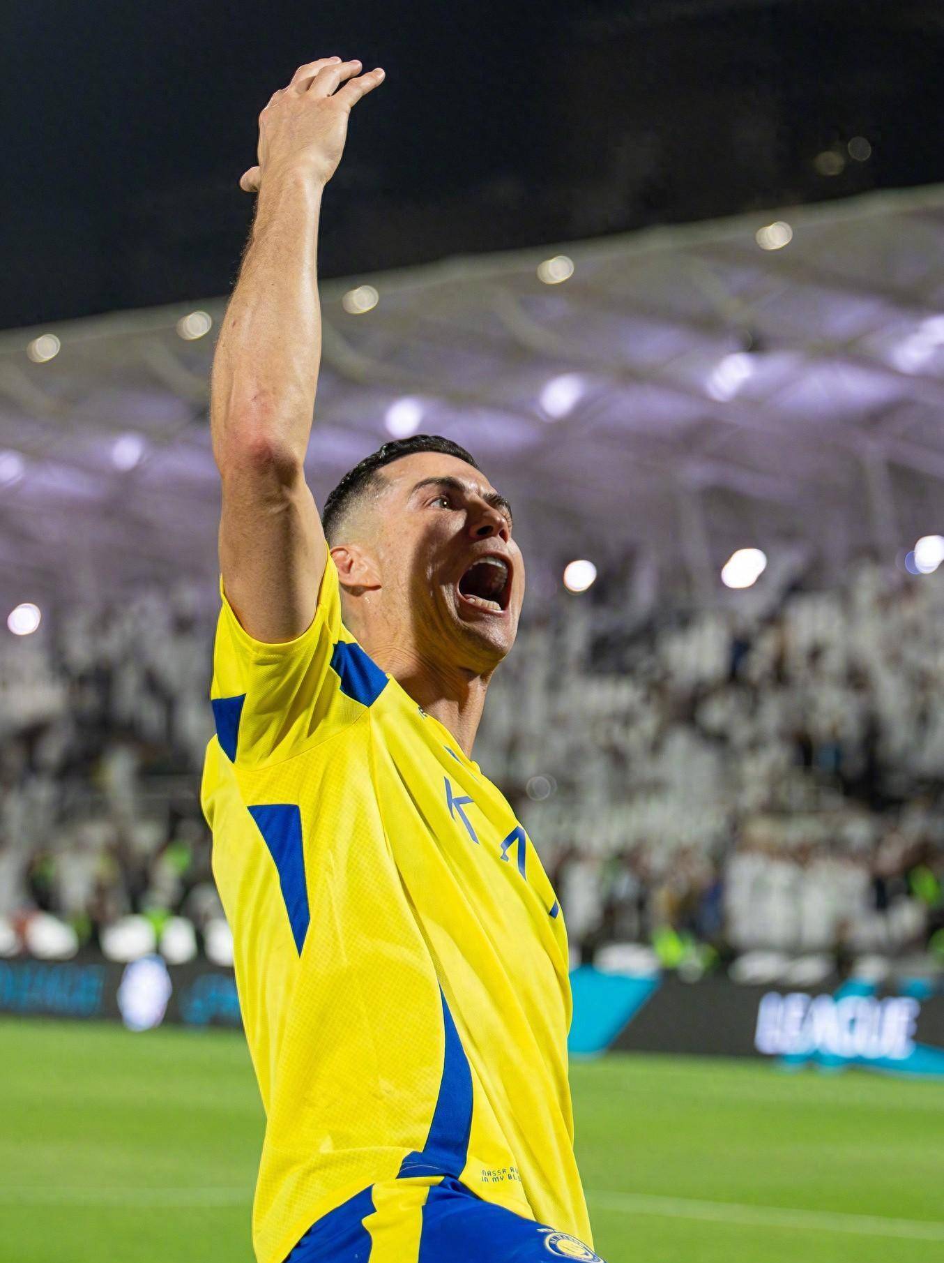 阅读比赛 阅读比赛